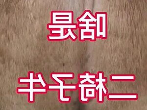 二椅子 意思